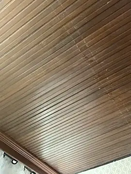 Jasmin Pink online show from 11/19/25, 03:12