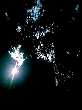 Lisa pusy online show from 10/22/25, 10:42