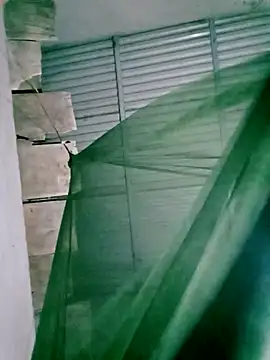 Lisa pusy online show from 11/14/25, 12:48