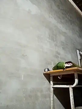 Milan6789 online show from 03/13/26, 12:39