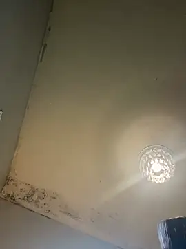 Victoriasteel online show from 02/20/26, 11:22