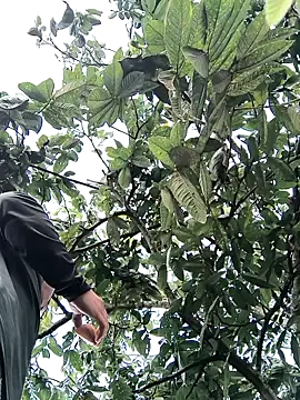 lamejorpene online show from 02/05/26, 01:05