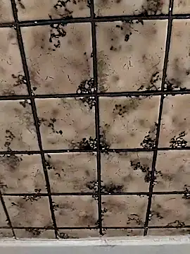 rosembertg online show from 10/02/25, 01:07