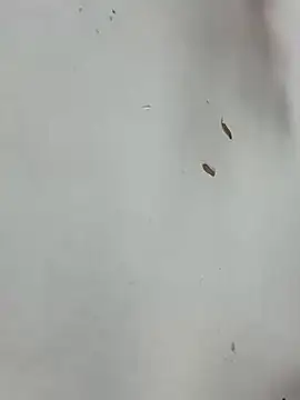 Baby-mmm online show from 01/10/26, 05:20