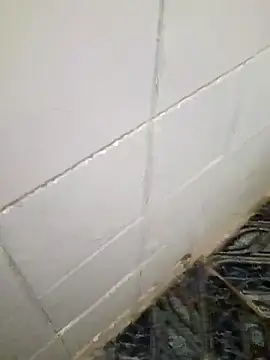 kelvinjesus34 online show from 10/19/25, 06:36