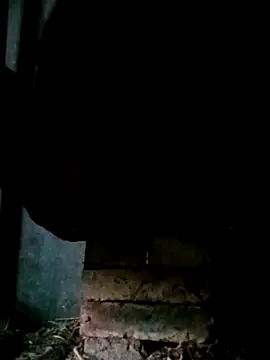 NegroArg 22 online show from 10/02/25, 09:44