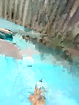 Hot-honi online show from 12/22/25, 09:06