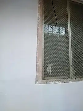 7incpink online show from 12/02/25, 04:18