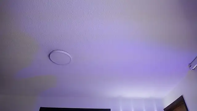  Charlotte Collins  online show from 11/03/25, 02:29