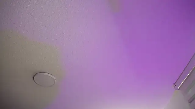  Charlotte Collins  online show from 11/22/25, 02:16