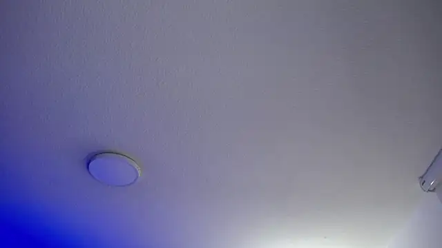Snapshot of _Charlotte_Collins_ chatting on 05/20/26, 03:18 Charlotte Collins online show from 05/20/26, 03:18
