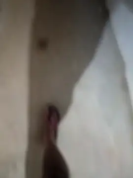 Snapshot of sexy__girls98 chatting on 11/27/25, 12:13 sexy girls98 online show from 11/27/25, 12:13