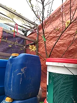 liu-liusexy online show from 02/15/26, 07:51