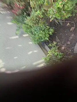 Rudeboy1116 online show from 11/30/25, 09:52