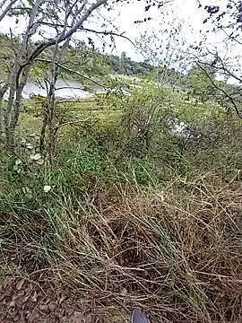 Snapshot of slaveman4you chatting on 09/18/25, 12:40 slaveman4you online show from 09/18/25, 12:40