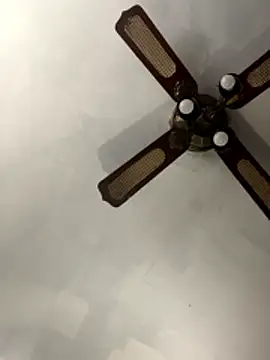 SucculentSexiness0 online show from 03/12/26, 04:24