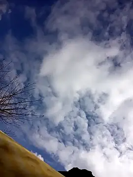 tcm-cute online show from 10/23/25, 03:06