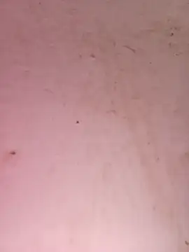 Payal950 online show from 09/25/25, 06:17