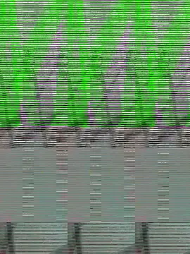 Payal950 online show from 10/22/25, 01:33