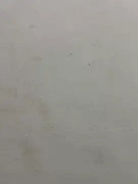 jully-jully online show from 09/24/25, 02:59