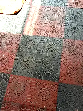 Telugu coupul online show from 10/11/25, 06:01