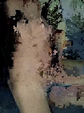Snapshot of xxxxxcgbn chatting on 02/05/26, 04:17 xxxxxcgbn online show from 02/05/26, 04:17