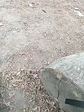 Snapshot of Dasdhon chatting on 11/18/25, 10:20 Dasdhon online show from 11/18/25, 10:20