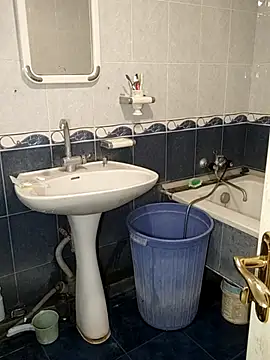 sealbrok online show from 10/30/25, 06:59