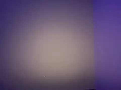 LustyDuoSecrets online show from 11/11/25, 06:19