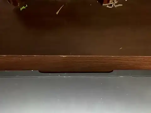 LustyDuoSecrets online show from 04/21/26, 04:45