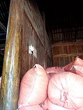 hera-00 online show from 09/20/25, 03:40