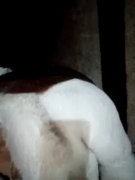 Phuong xxx online show from 02/12/26, 11:49