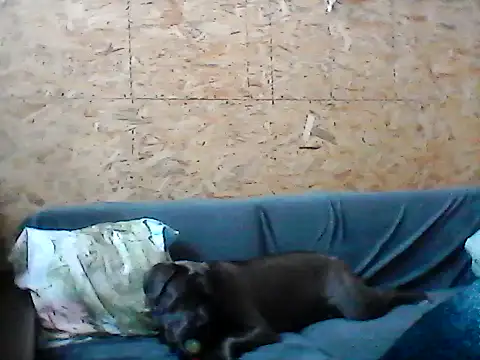 Milana38 online show from 01/16/26, 11:14