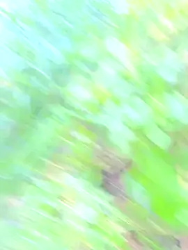 Andy-Alex2002 online show from 09/14/25, 06:45