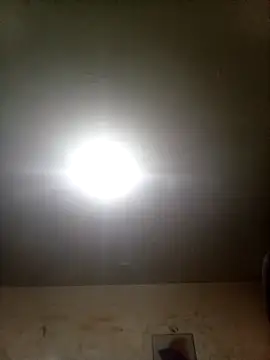 Bebicho14 online show from 09/09/25, 02:22