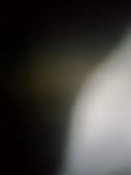 Rk3BULL online show from 03/26/26, 11:43