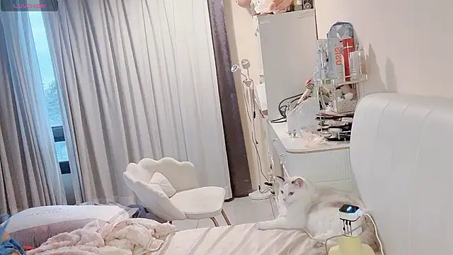 jiajia 0902 online show from 03/19/26, 09:46