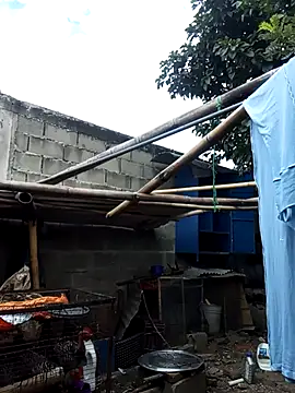 MackMacKenzie online show from 12/19/25, 05:20