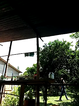 Snapshot of AlphaAlterX chatting on 10/02/25, 06:04 AlphaAlterX online show from 10/02/25, 06:04