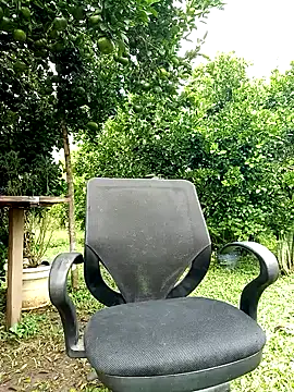 Snapshot of AlphaAlterX chatting on 10/12/25, 01:32 AlphaAlterX online show from 10/12/25, 01:32