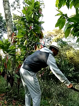 AlphaAlterX online show from 02/28/26, 01:23