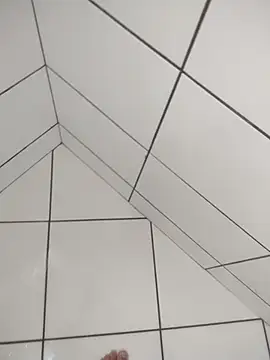 Novin23cms online show from 12/20/25, 11:28