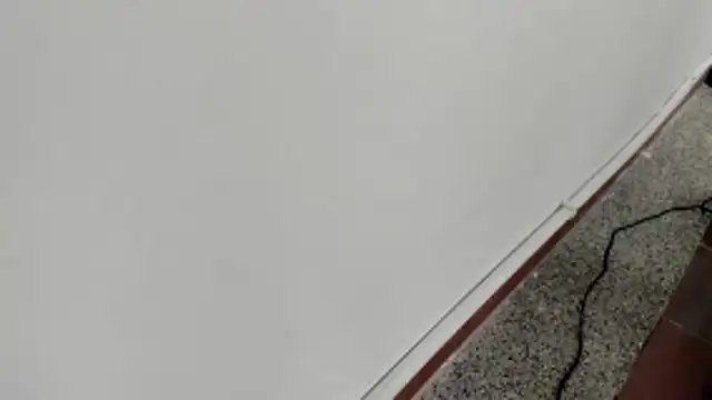 michelle perla online show from 01/15/26, 07:06