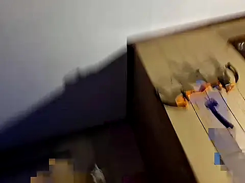 Bush smusher online show from 09/11/25, 01:17