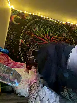 VickPicsVermillion online show from 11/21/25, 11:36