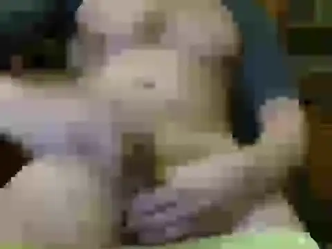 italian max sex online show from 11/21/25, 11:25