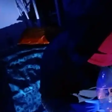 johnboones10 online show from 02/22/26, 05:00