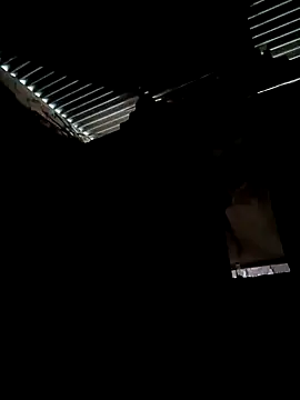 Gustavo1135e online show from 10/13/25, 11:10