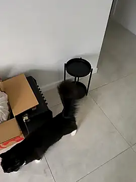 aussiepeaches online show from 04/06/26, 01:25