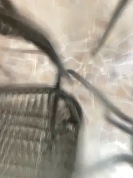 Adele Pinkk online show from 10/25/25, 11:51